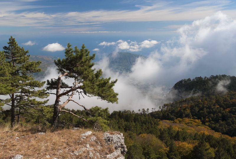 Октябрь......photo preview