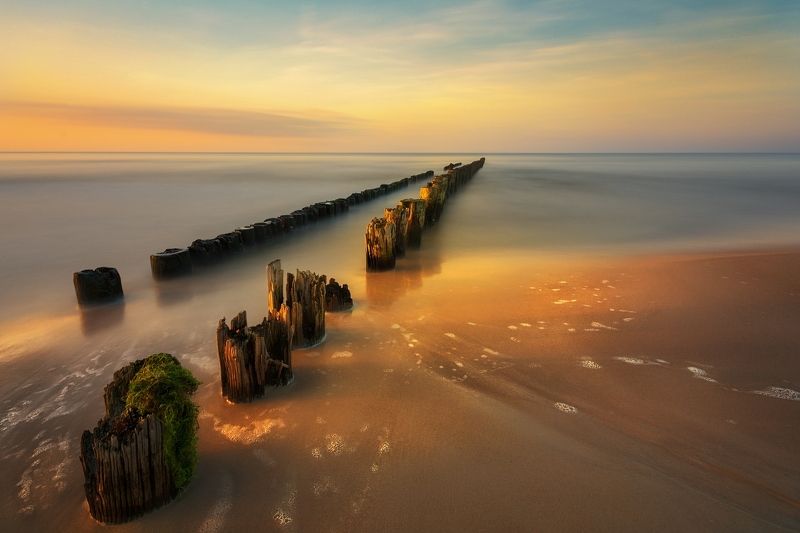 Baltic pegsphoto preview