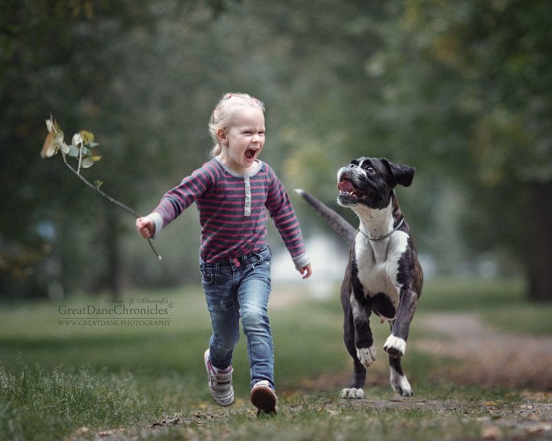 Funny Racingphoto preview