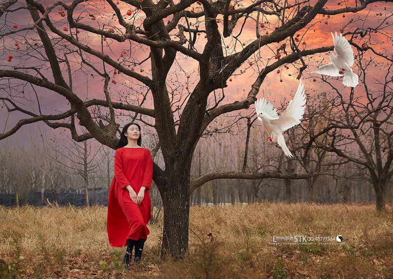 Tour in Chinaphoto preview