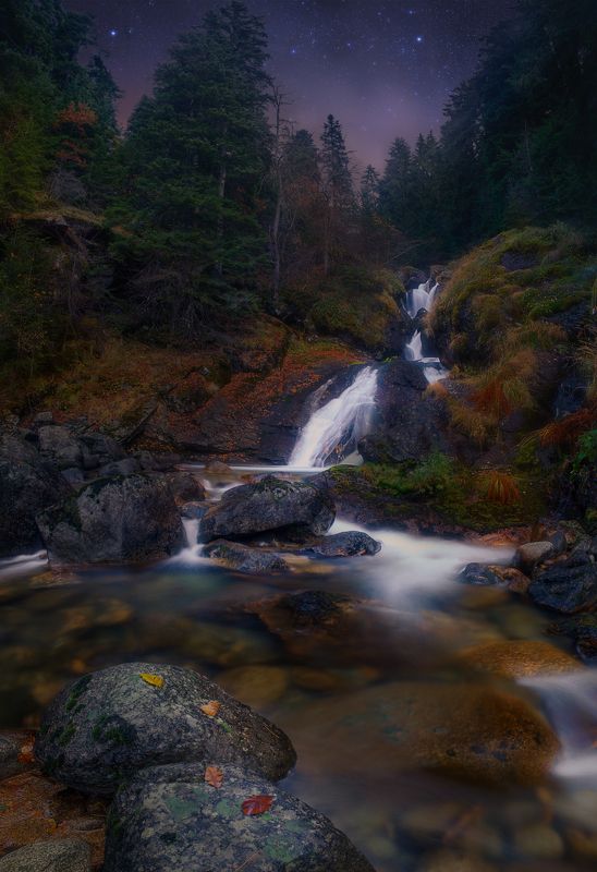 В земята на мечтитеphoto preview