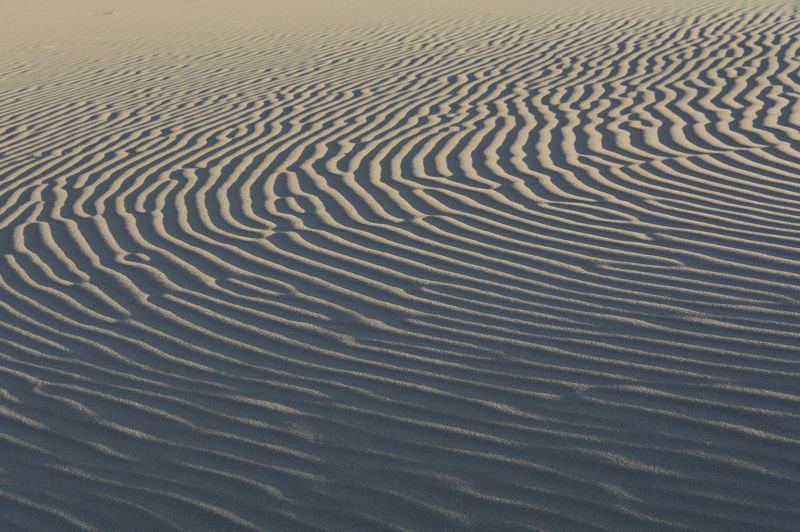 пейзаж, Монголия, солнце, пески, барханы Игра света и тениphoto preview