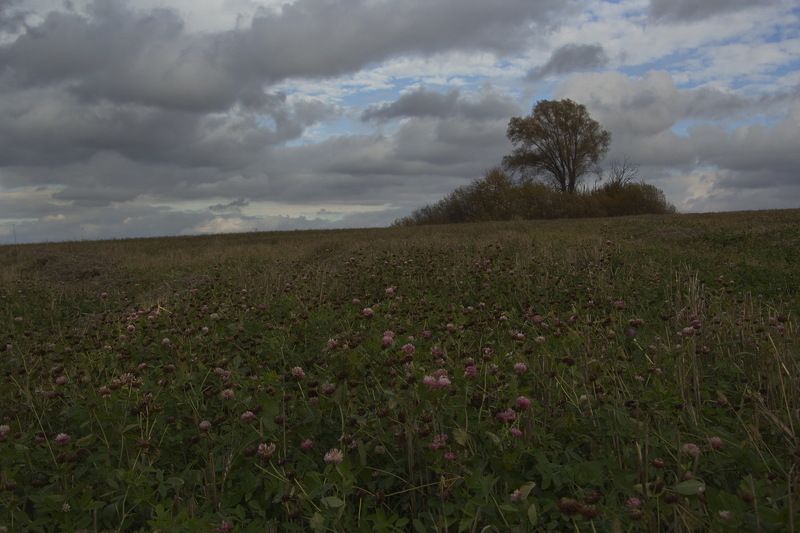 Пейзаж,золотая осень река photo preview