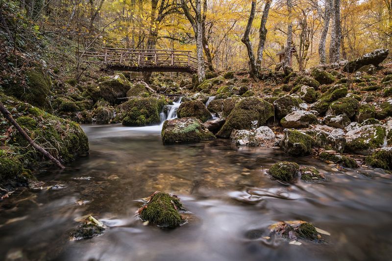 autumn, forest, river, bulgaria River in autumn in the forestphoto preview