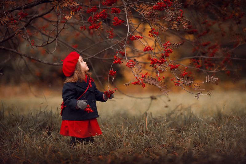 Краски осени.photo preview