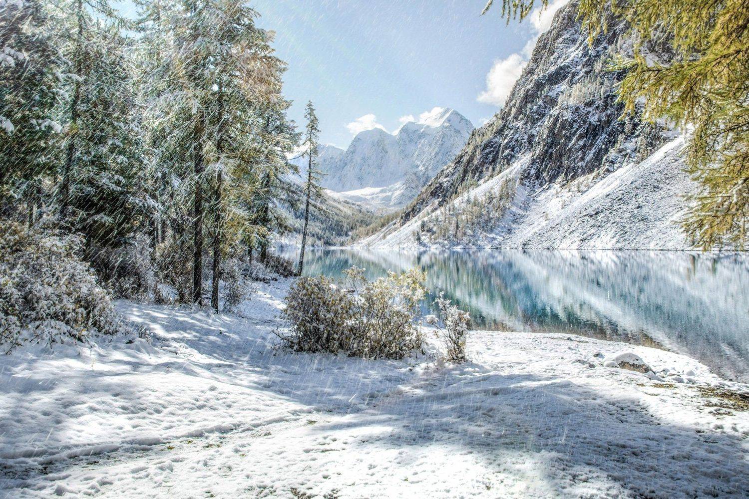 "грибной" снег. Автор: Алексей Кретов алтай,осень, Алексей Кретов