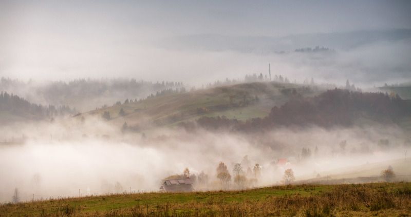 горы, карпаты, октябрь, осень, пилипец, туман, утро Туманный Пилипецphoto preview