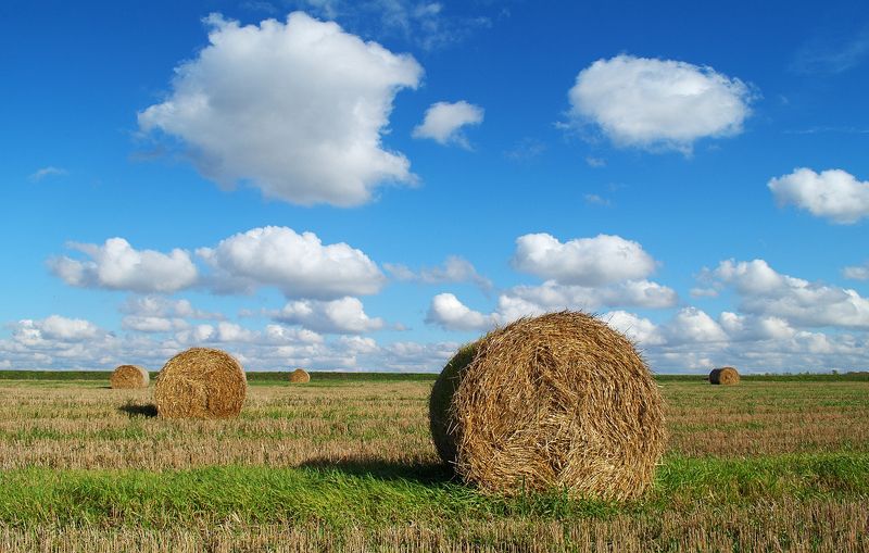сентябрь, осень, поле, стога, облака, fujifilm Сентябрь. Стога в поле фото превью