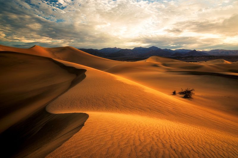 sunrise, desert, dunes, sand, death valley national park, california, mesquite, mojave, sun, travel, landscape, summer, hot, Sunrise in Desertphoto preview