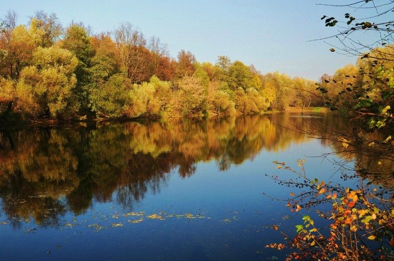 осень пейзаж  парк Уходит осень...photo preview