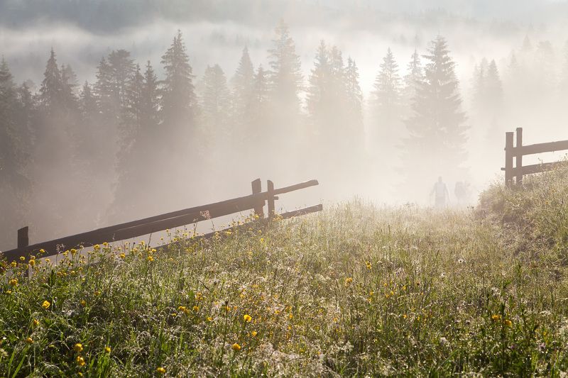 На полонину...photo preview