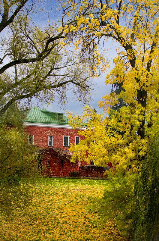 осень, листья, город, парк, вода, улица, Осень в Брестеphoto preview