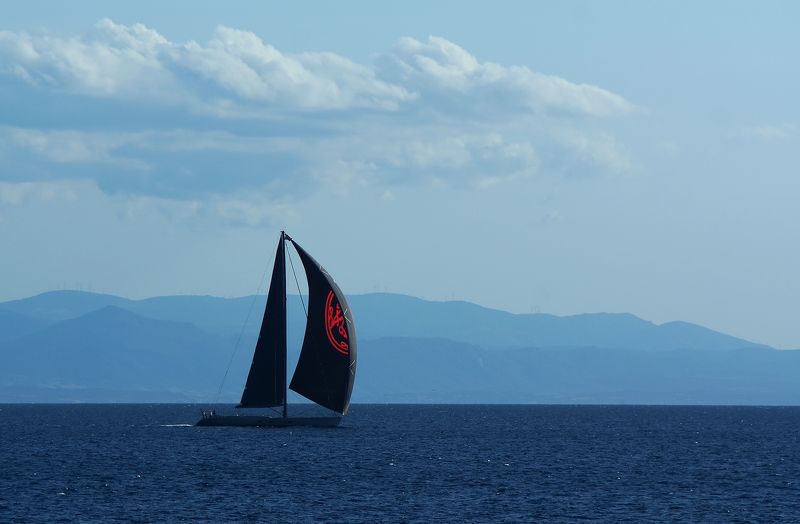 Черная каракатица....photo preview