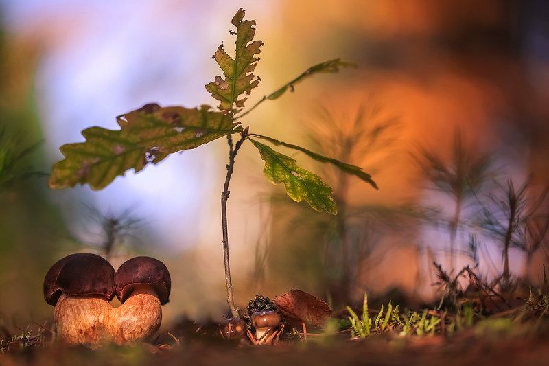 В обнимочкуphoto preview