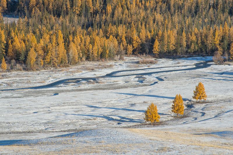 Три богатыряphoto preview