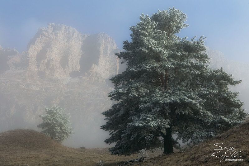 кавказ, ингушетия, заповедник эрзи Прохладное утро.photo preview