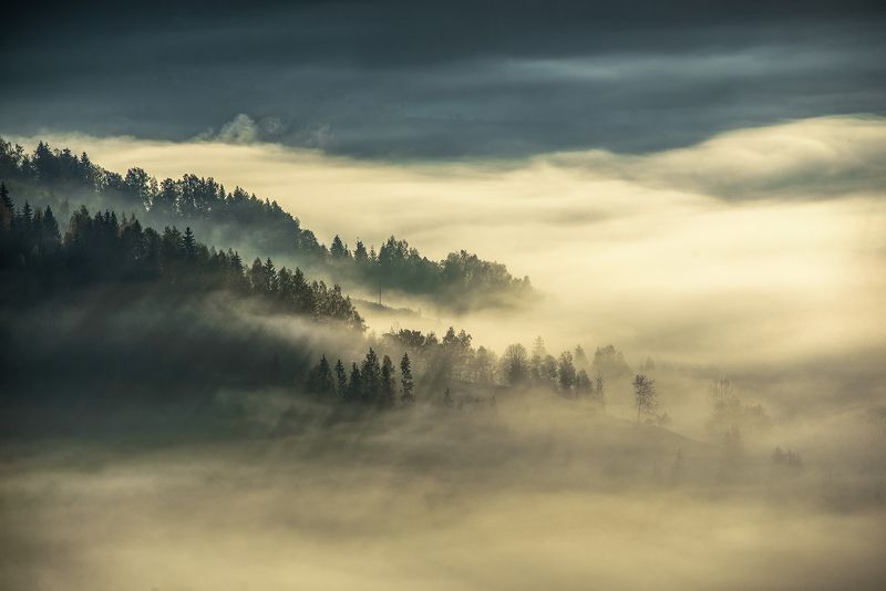 Утренние туманыphoto preview