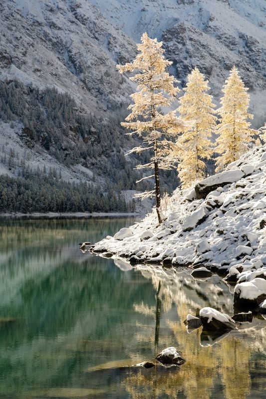 алтай,осень золото и сереброphoto preview