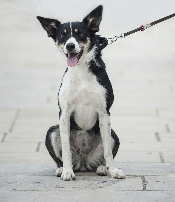 untitled#photo preview