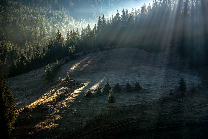 утро, лучи, лес, стога, апусены, горы, поляна, осень, Первый иней на травеphoto preview