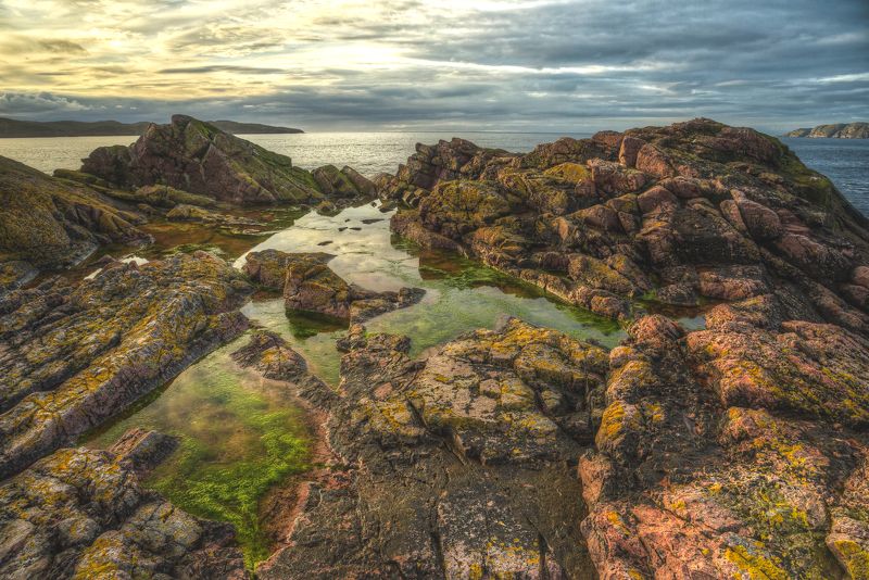 скалы, север, меря, камни, тундра Жизнь на скалахphoto preview