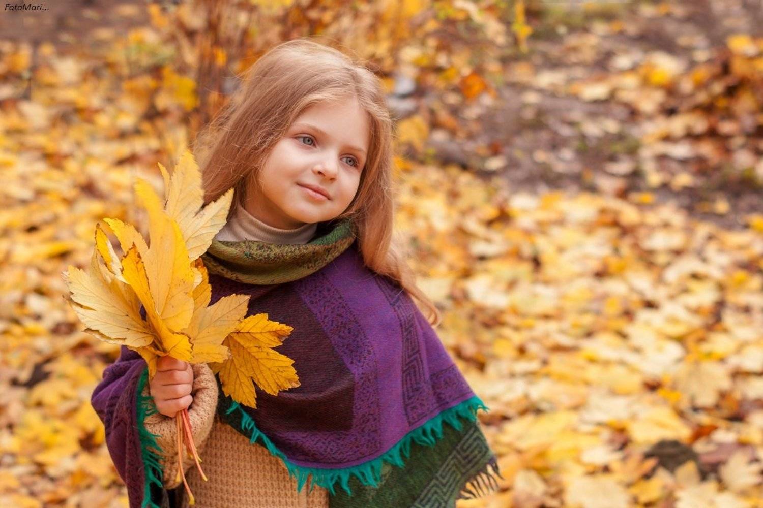 , Марина Соколова