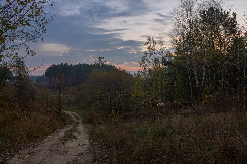 пейзаж,природа,осень,дорога,рассвет,утро, photo preview