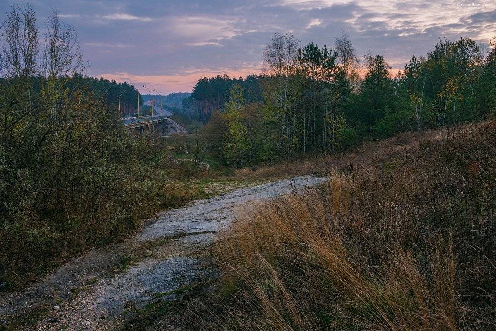 ....... Автор: Taras пейзаж,природа,осень,дорога,рассвет,утро,, Taras