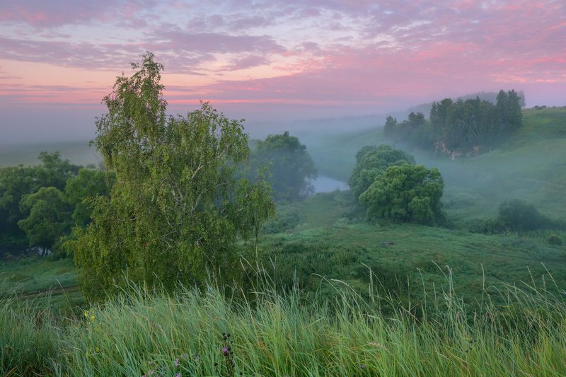 летнее утроphoto preview