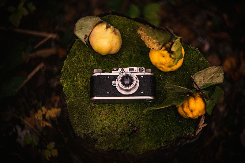 Натюрморт с айвамиphoto preview