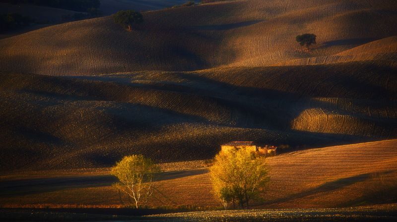 тоскана, рассвет, свет, тени, дорога, гладиаторов Волшебный свет Тосканыphoto preview