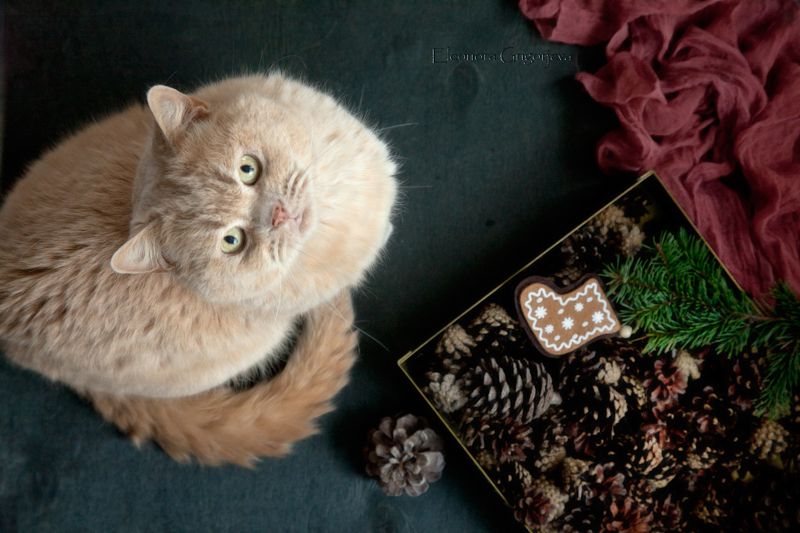 Минута славыphoto preview