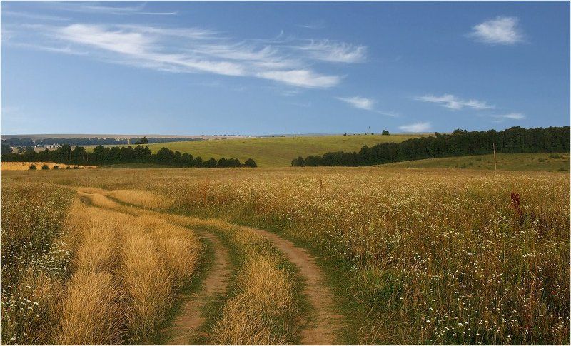 Эх, дорогиphoto preview