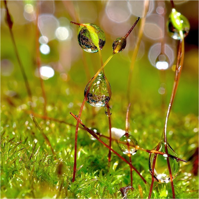 Вверх тормашками.photo preview