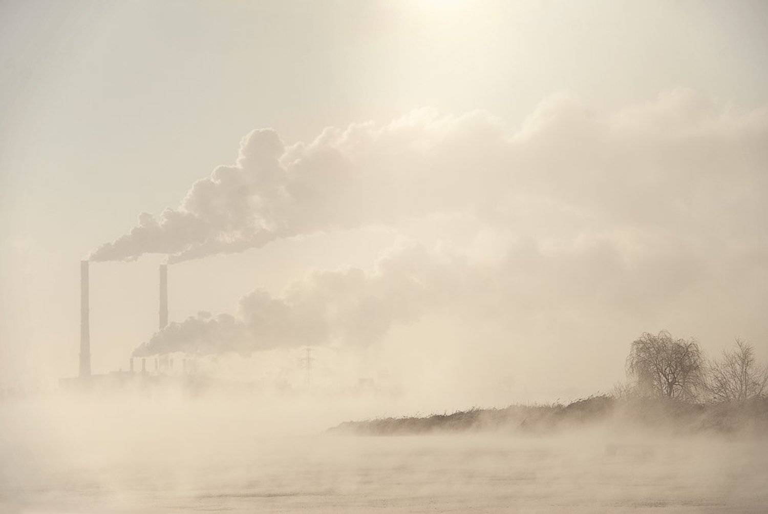 Cold morning. Автор: Алексей утро, мороз, пар, вода, Алексей