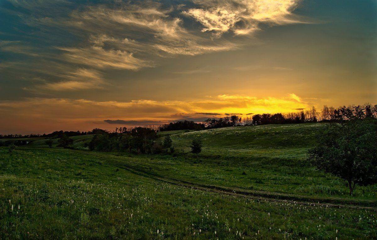 ***. Автор: Сергей Иванов , Сергей Иванов