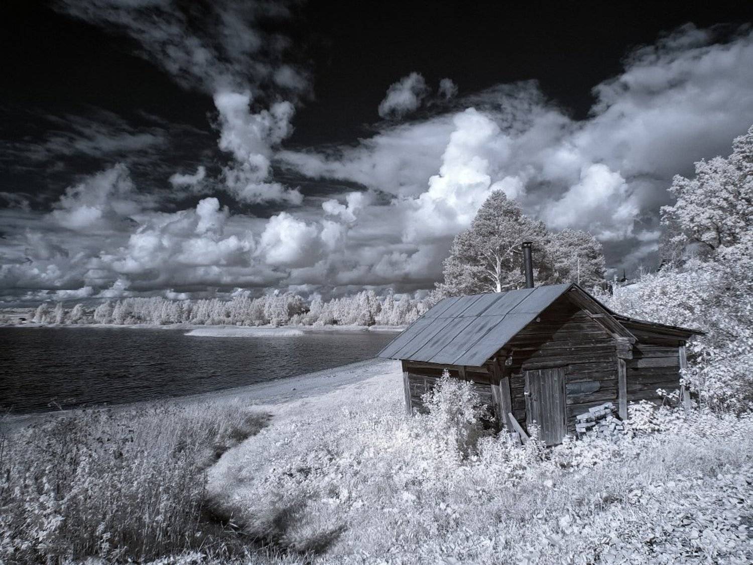 , Максим Евдокимов