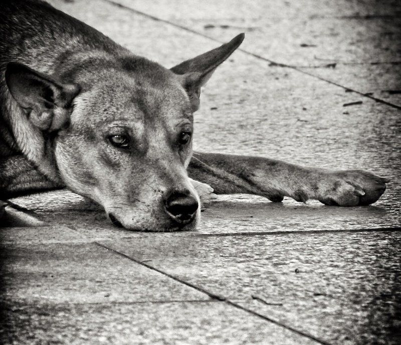 Грустьphoto preview