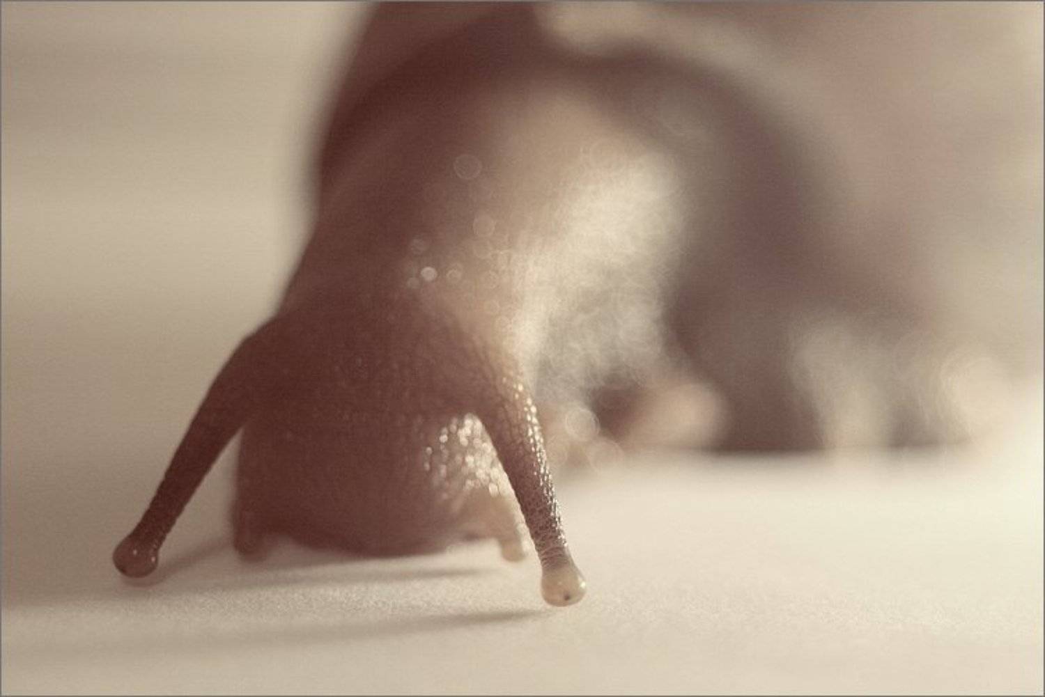 Близорукость. Автор: Yakimov V , Yakimov V