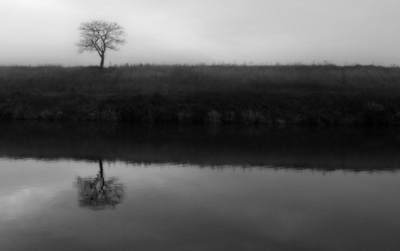 одиночество....photo preview