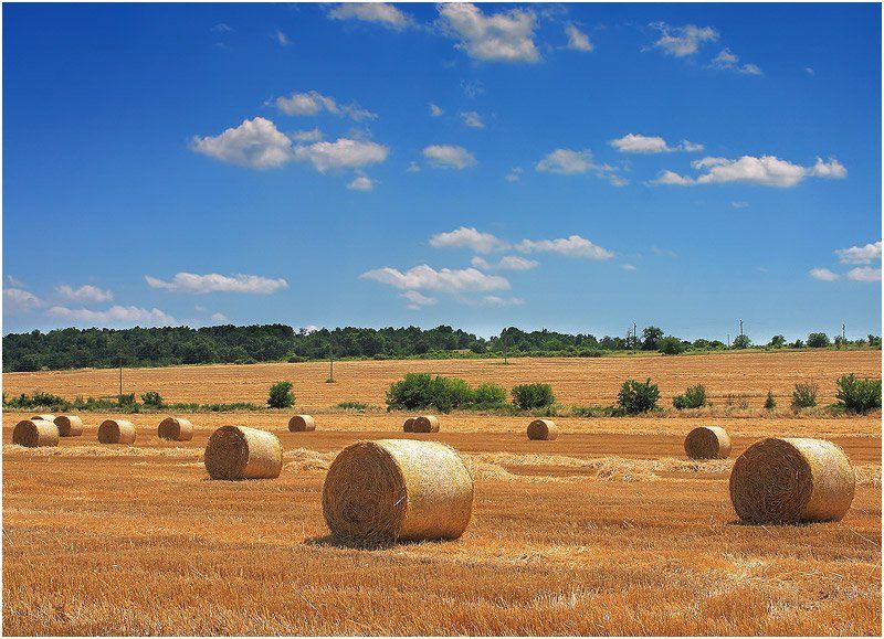 Летоphoto preview