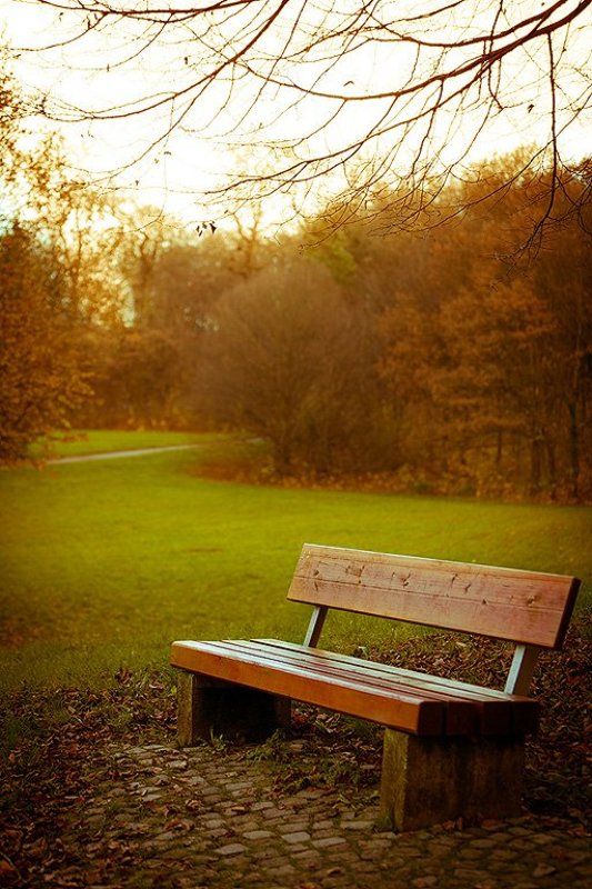 Времена года...photo preview