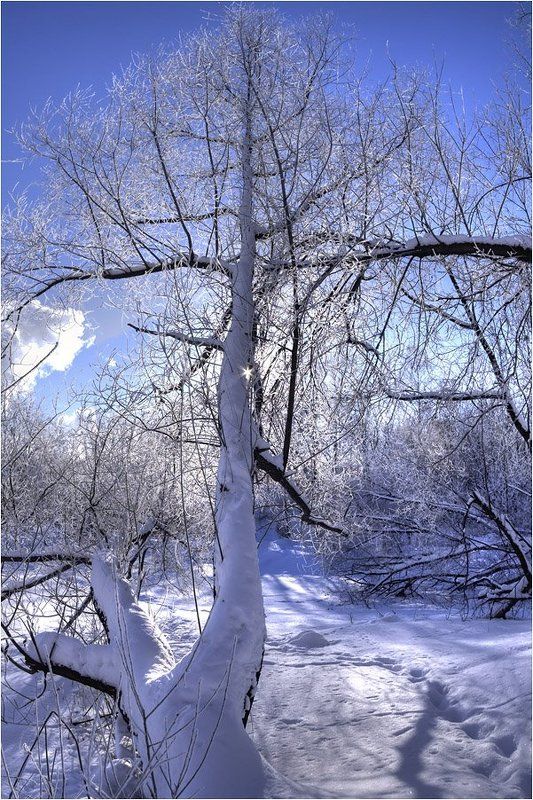 Мороз и солнцеphoto preview