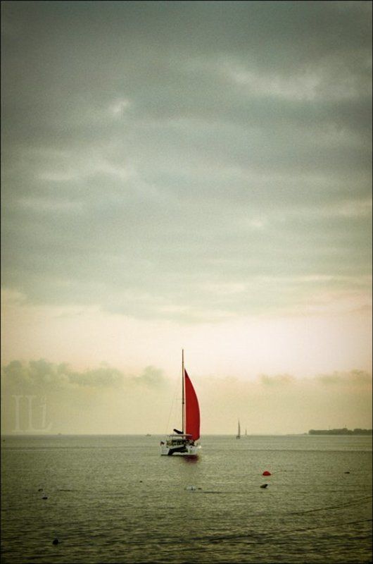 катамаран, море, парус Краснеет парус одинокийphoto preview