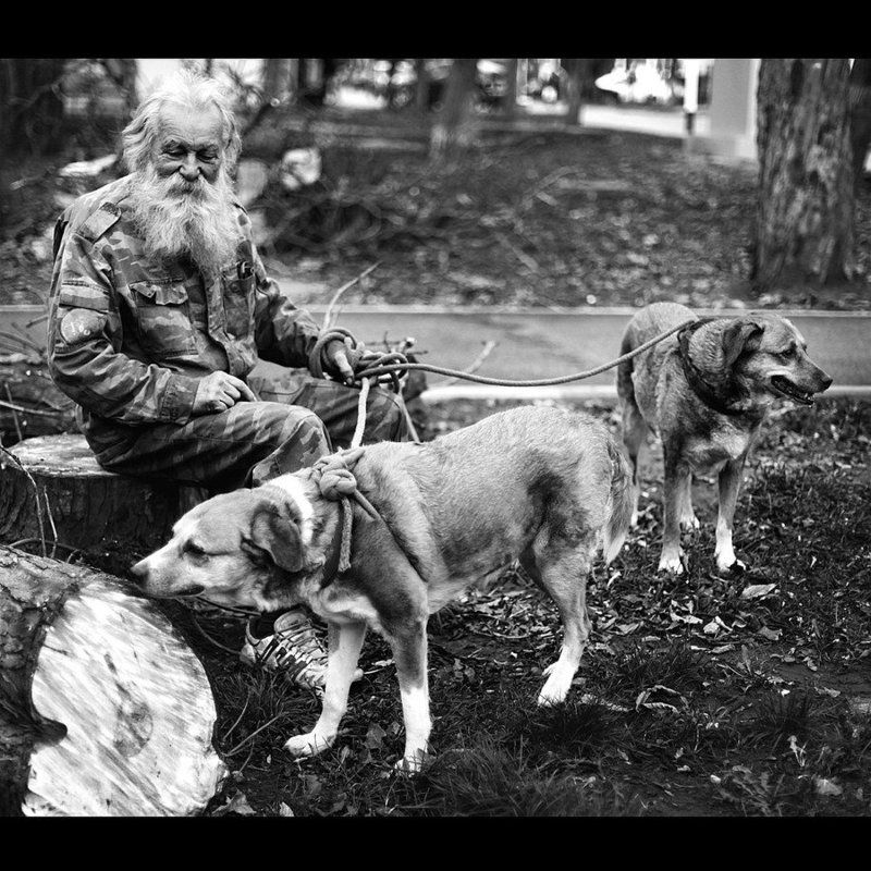 О собаках и Толстомphoto preview