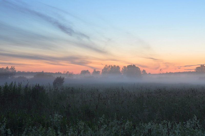туман Вечерний туман фото превью