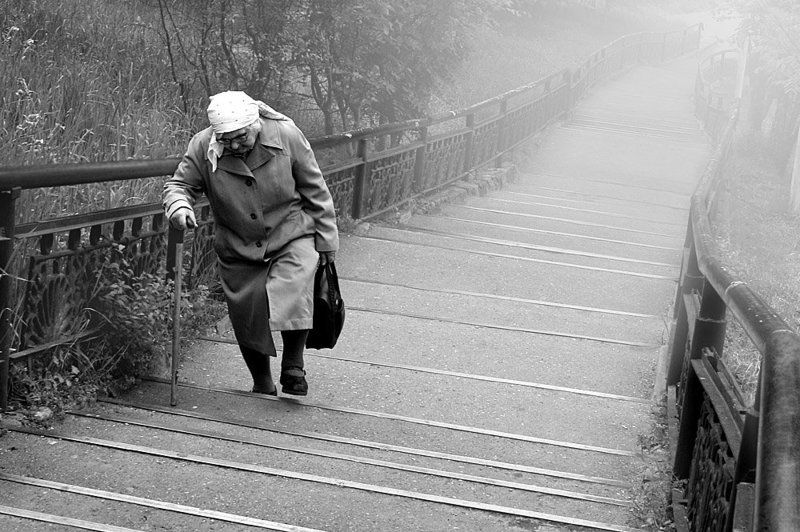 Путь длинною в жизньphoto preview