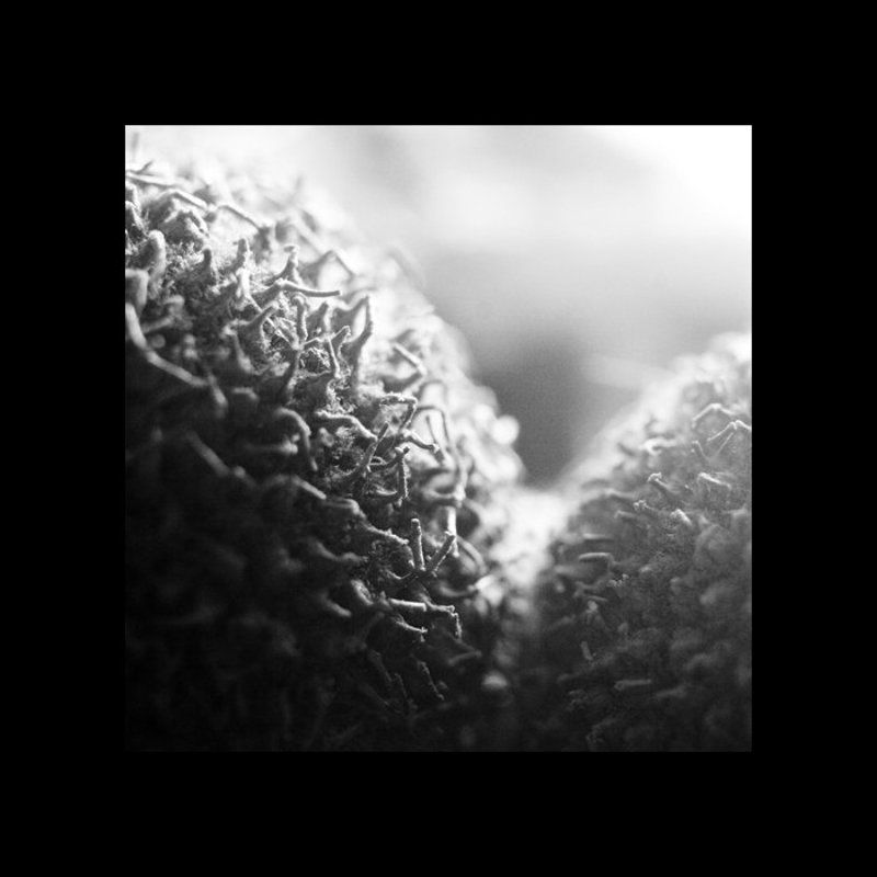 нехорошие мысли фото превью