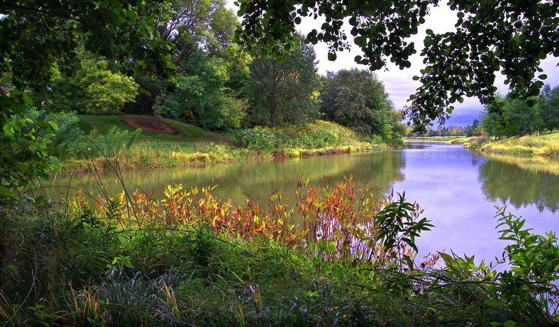 природа, пейзаж, река, лес \