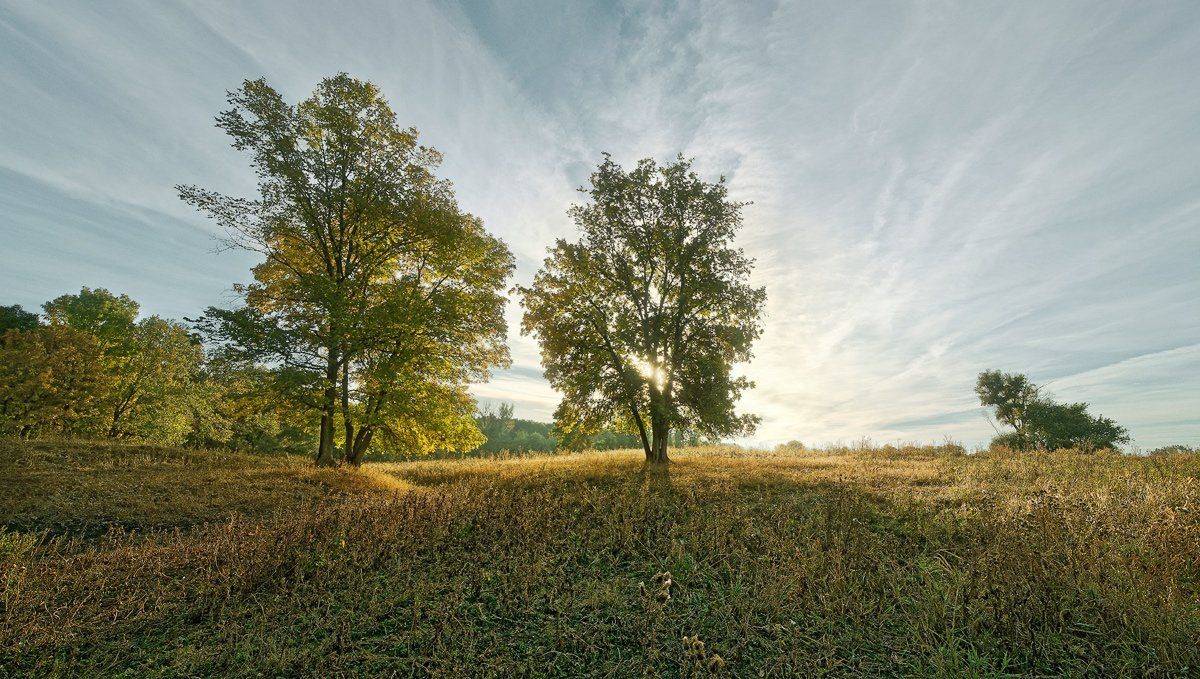 ***. Автор: Сергей Иванов , Сергей Иванов
